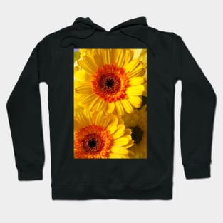 Two Yellow Orange Mums Hoodie